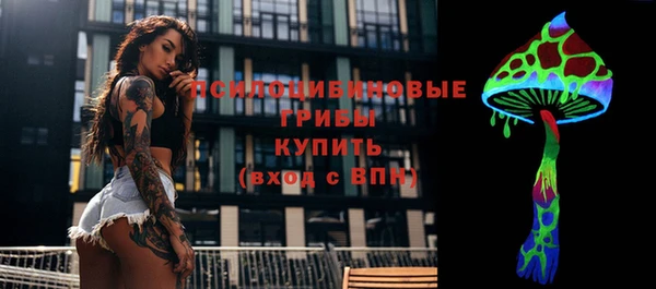 ГАЛЛЮЦИНОГЕННЫЕ ГРИБЫ Володарск
