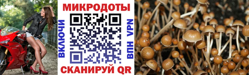 Галлюциногенные грибы MAGIC MUSHROOMS  Циолковский 
